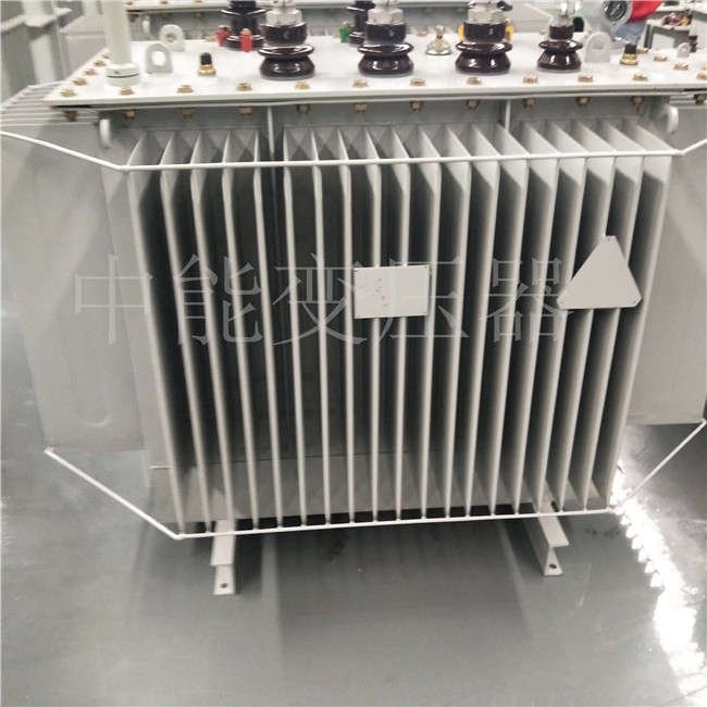 庆阳S20-800KVA变压器