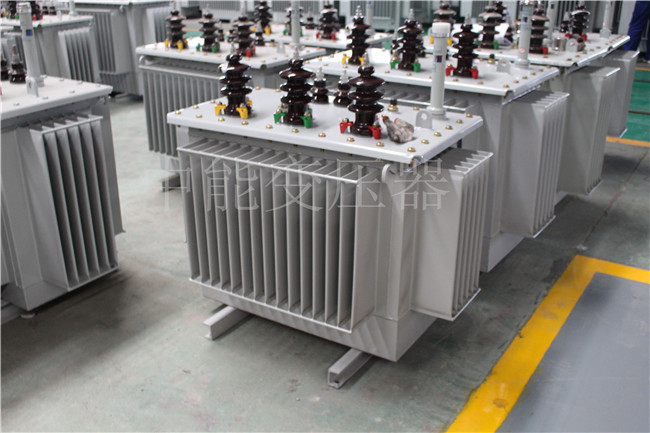 庆阳S22-100KVA/10KV/0.4KV变压器